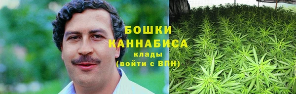 твердый Аркадак