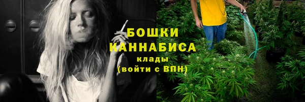 твердый Аркадак