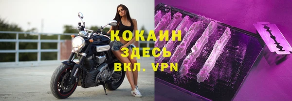 твердый Аркадак